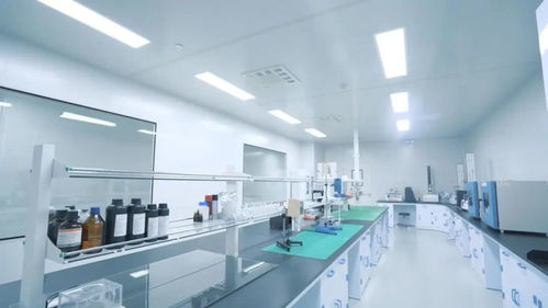 鑄就極致產(chǎn)品 打響中國智造 走進中威時和汽車膜工廠的技術服務探索