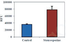 BBI細胞組學產(chǎn)品秋冬促銷火熱開啟，放開價勢無需再等